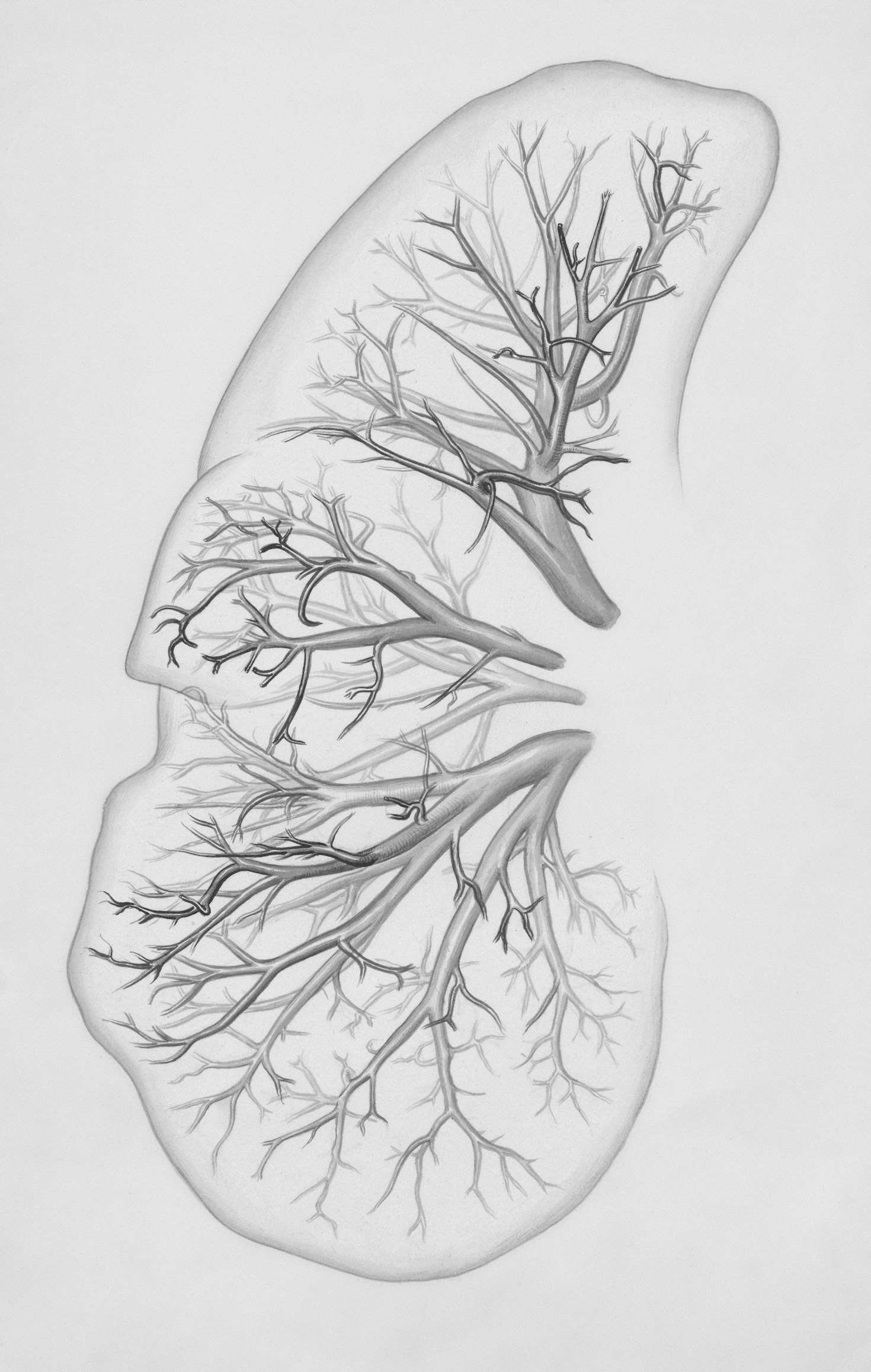The Role of Peptides in Modern Healthcare