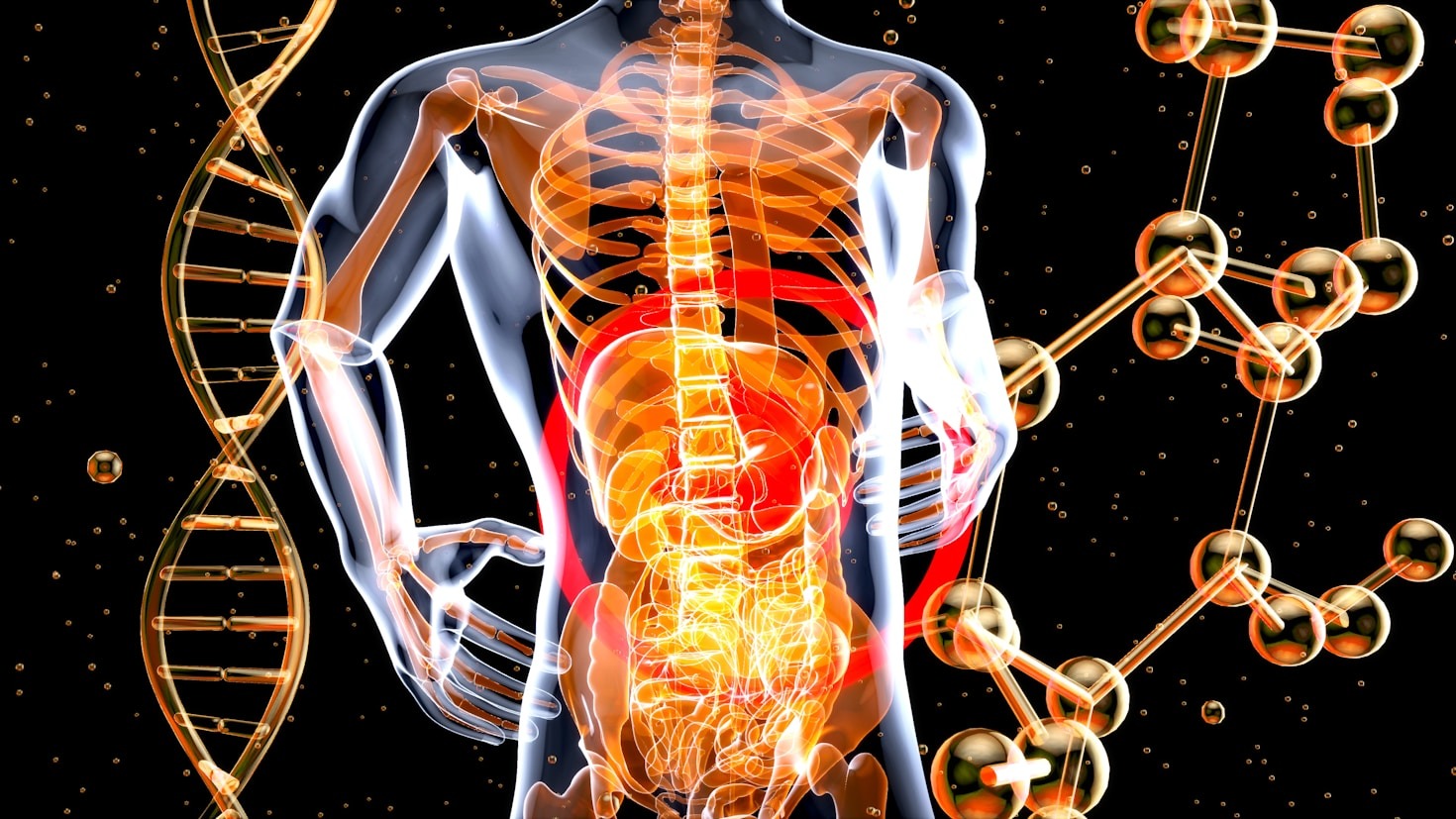 Regenerative Tools That Truly Transform Health
