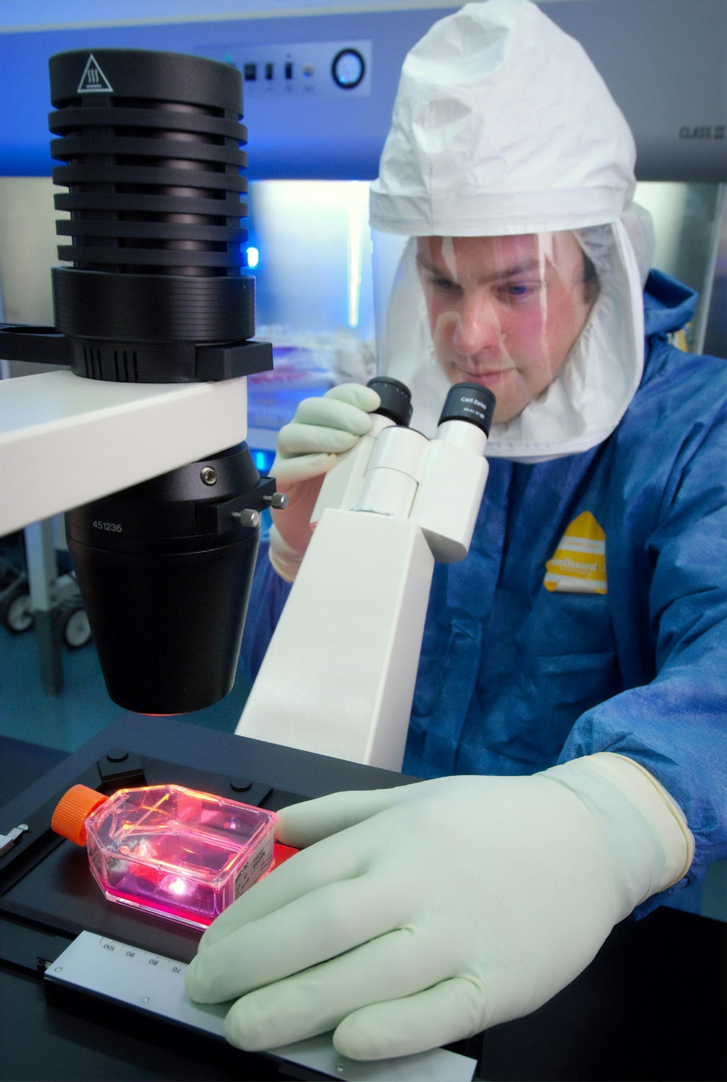 Science-Backed Protocols for Real-World Healing